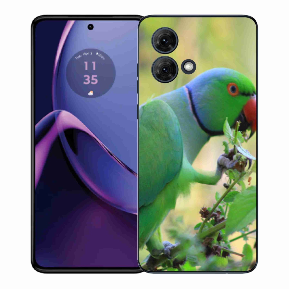 Gélový kryt mmCase na Motorola Moto G84 5G - papagáj alender