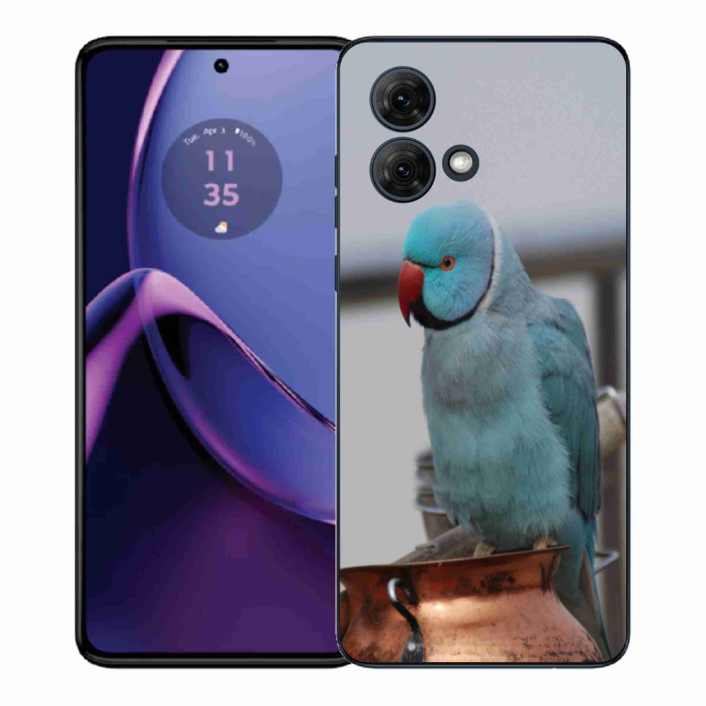 Gélový kryt mmCase na Motorola Moto G84 5G - papagáj alexander modrý