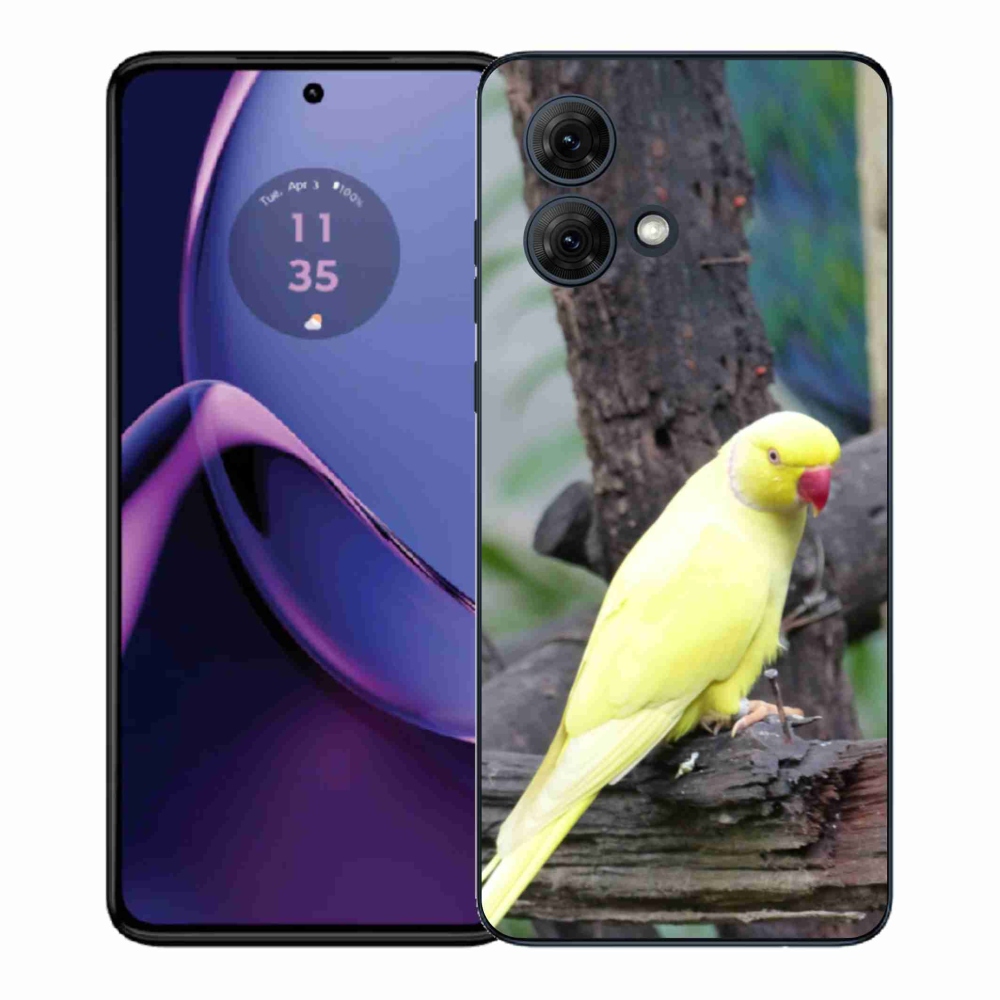 Gélový kryt mmCase na Motorola Moto G84 5G - papagáj alexander žltý