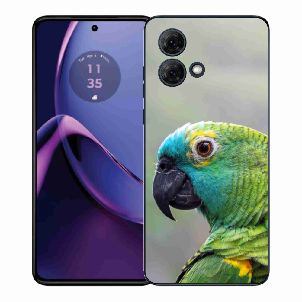 Gélový kryt mmCase na Motorola Moto G84 5G - papagáj amazoňan