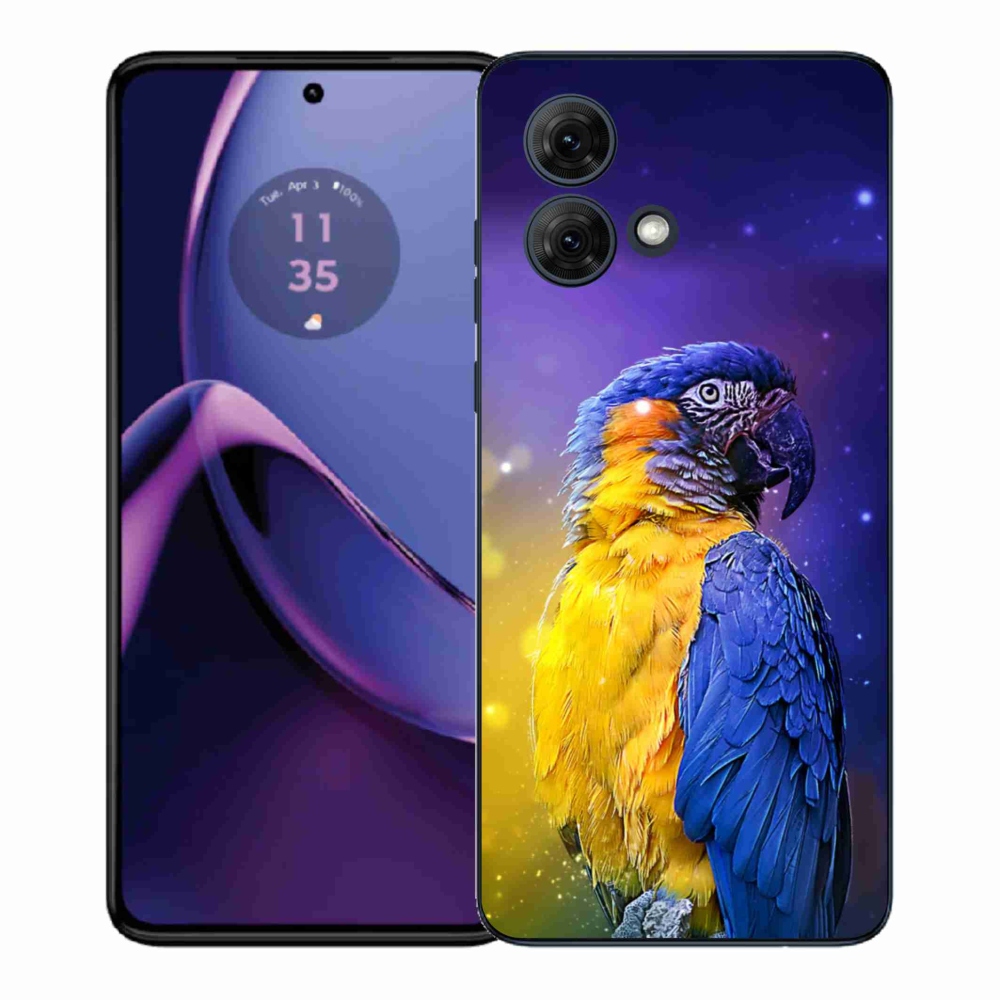Gélový kryt mmCase na Motorola Moto G84 5G - papagáj ara 1