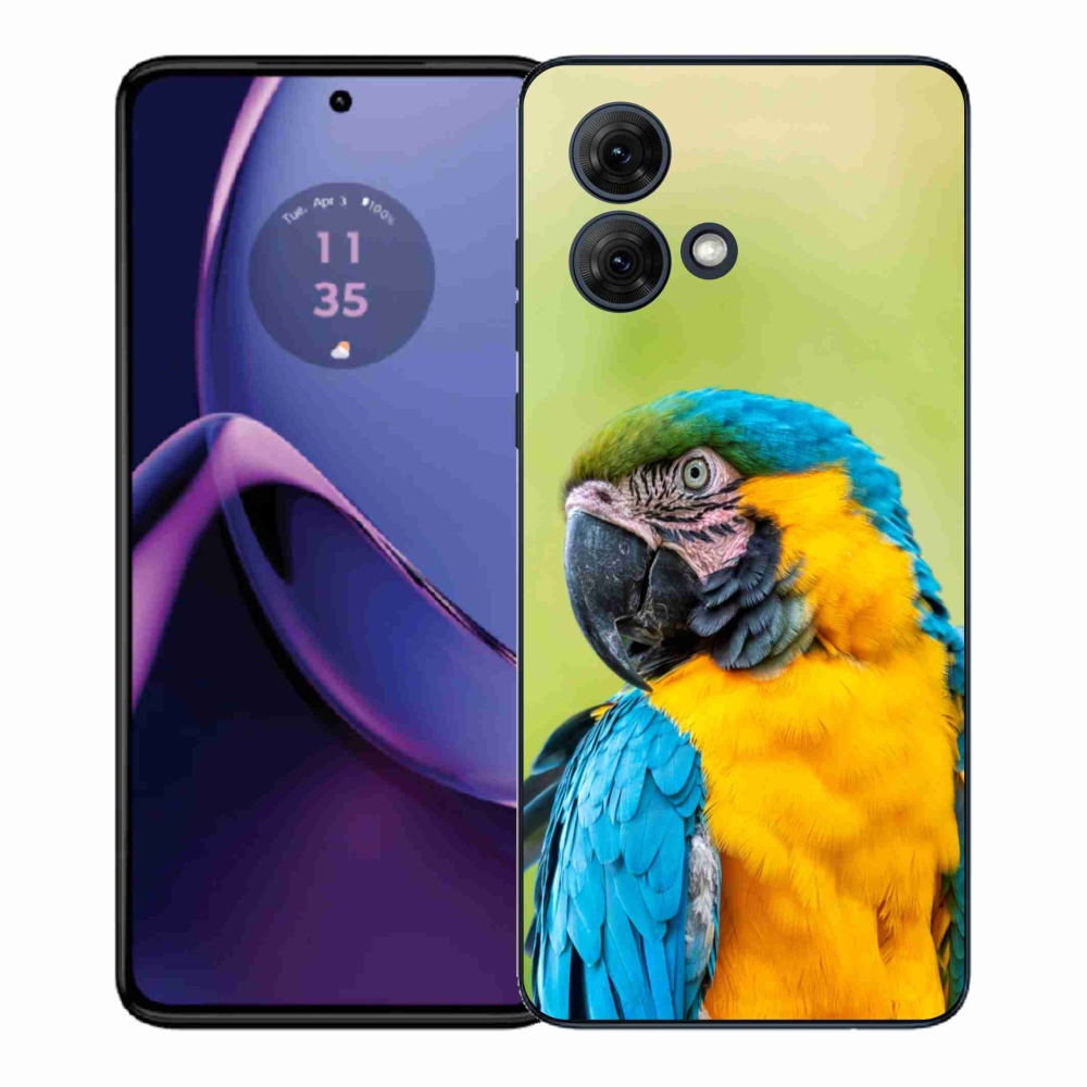 Gélový kryt mmCase na Motorola Moto G84 5G - papagáj ara 2