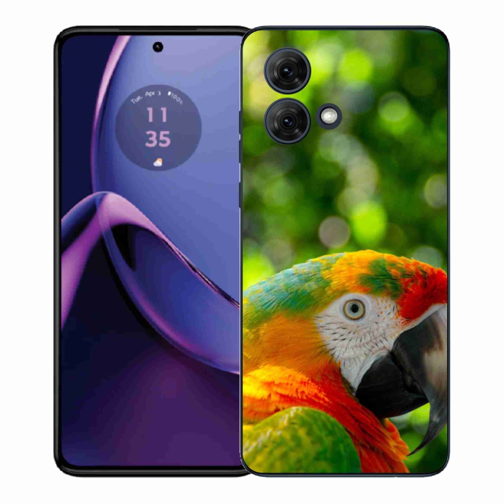 Gélový kryt mmCase na Motorola Moto G84 5G - papagáj ara 3