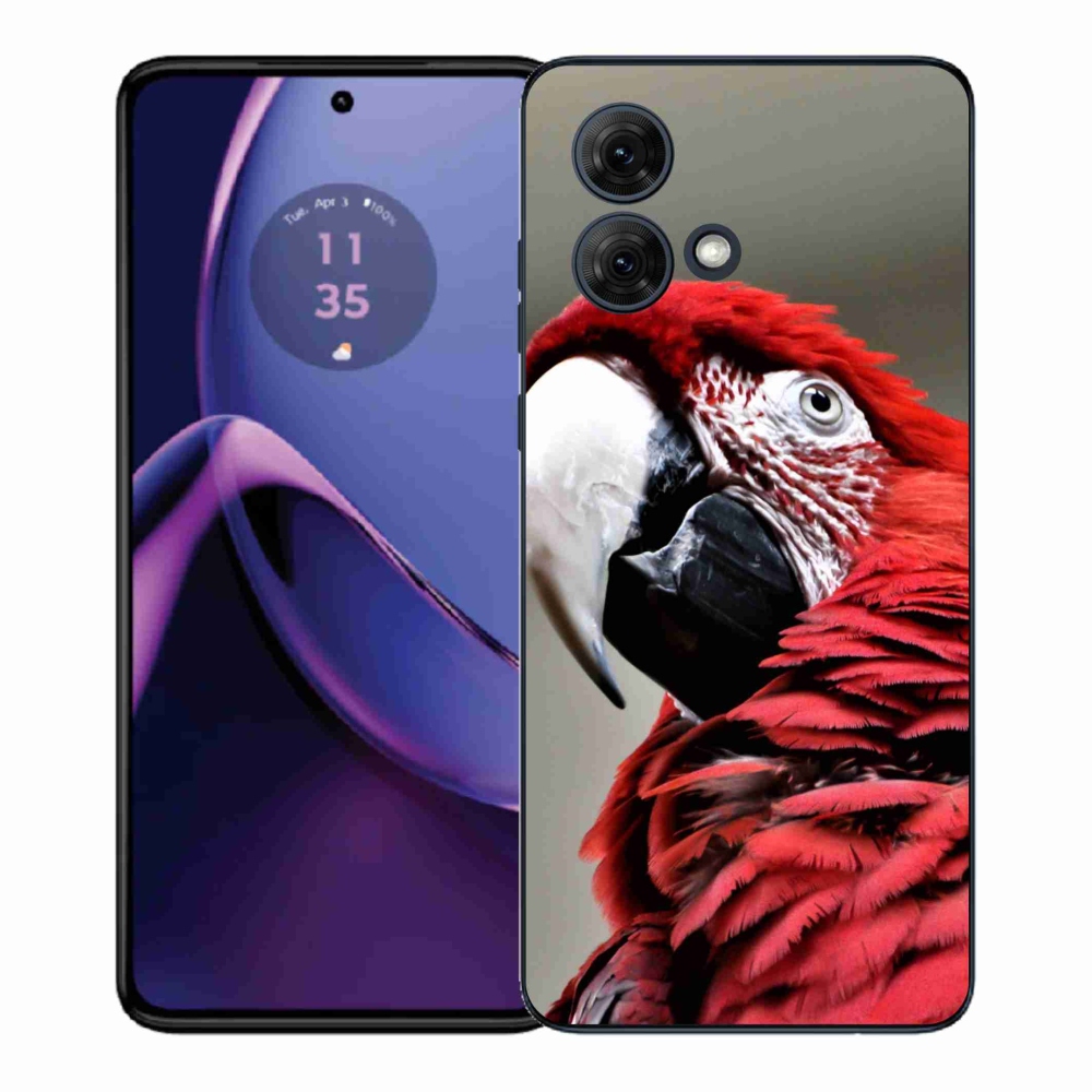 Gélový kryt mmCase na Motorola Moto G84 5G - papagáj ara červený
