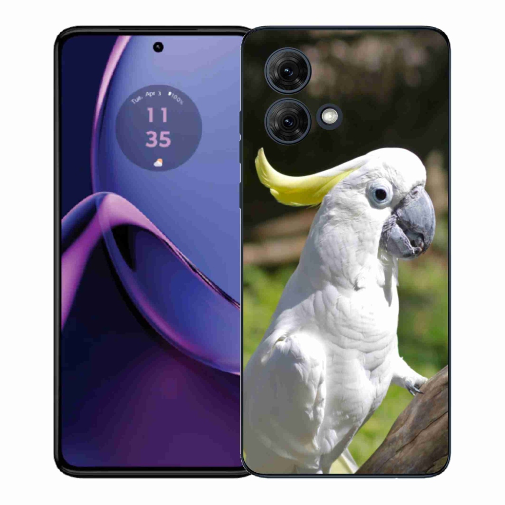 Gélový kryt mmCase na Motorola Moto G84 5G - papagáj kakadu 2
