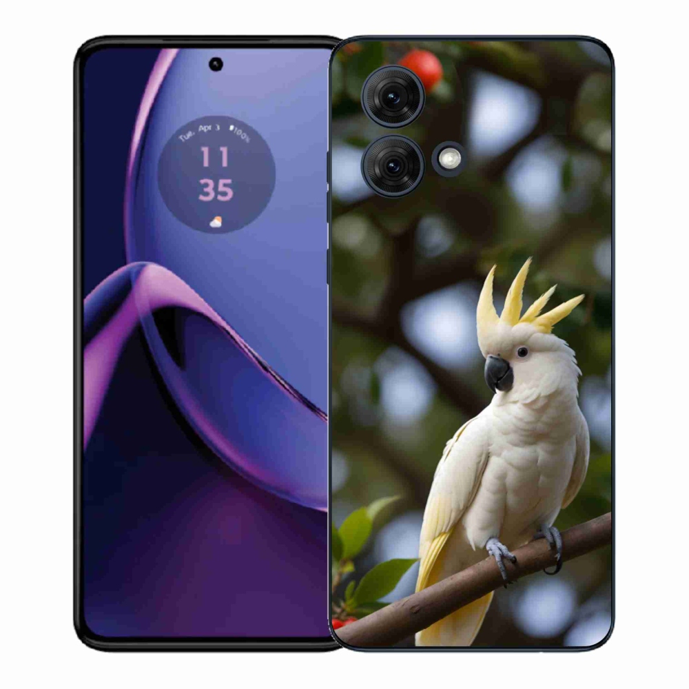 Gélový kryt mmCase na Motorola Moto G84 5G - papagáj kakadu 3