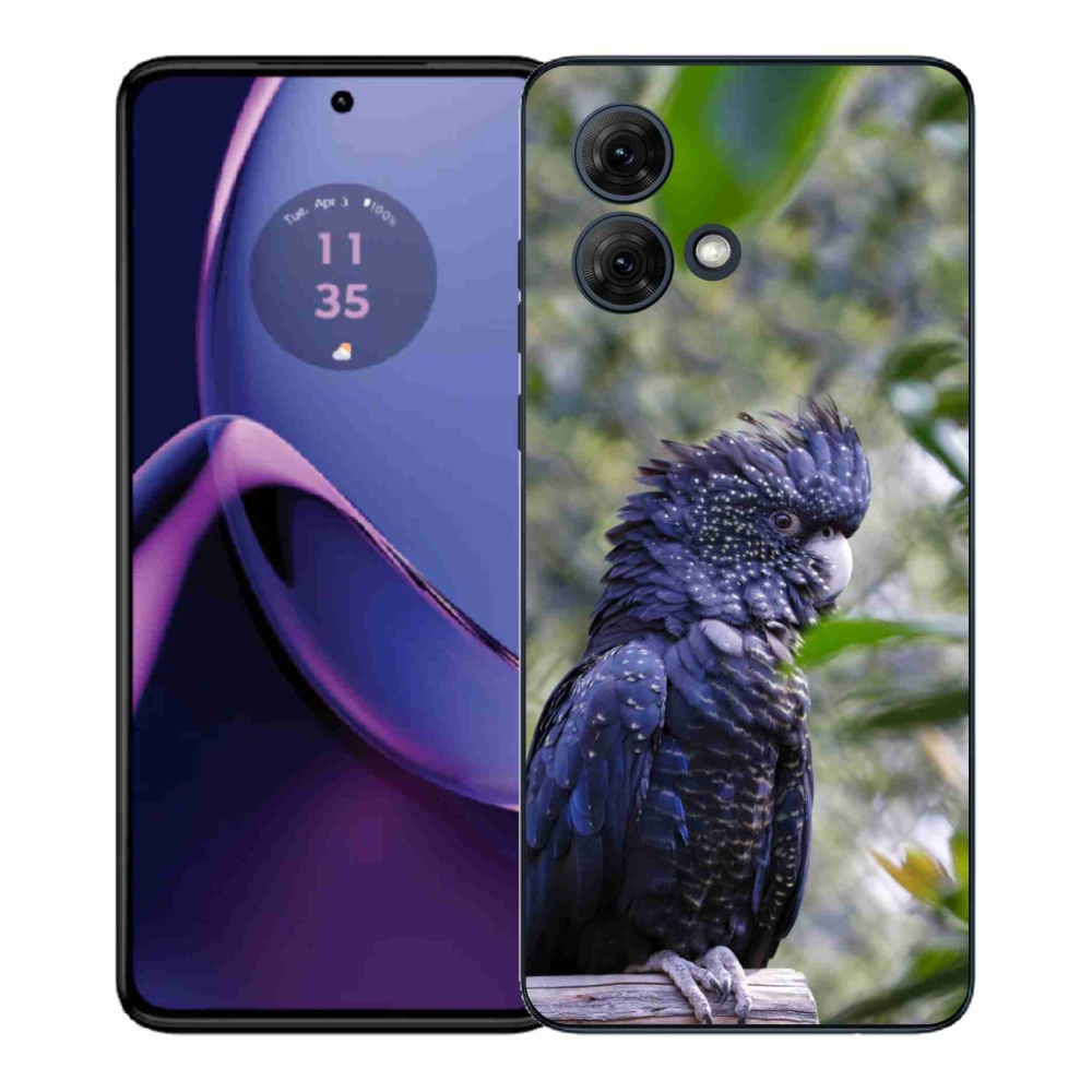 Gélový kryt mmCase na Motorola Moto G84 5G - papagáj kakadu čierny