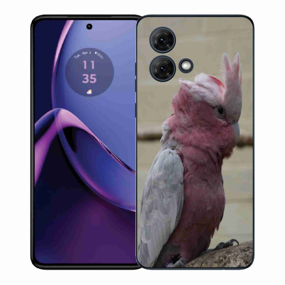 Gélový kryt mmCase na Motorola Moto G84 5G - papagáj kakadu ružový