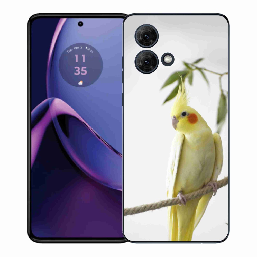 Gélový kryt mmCase na Motorola Moto G84 5G - papagáj korela chocholatá