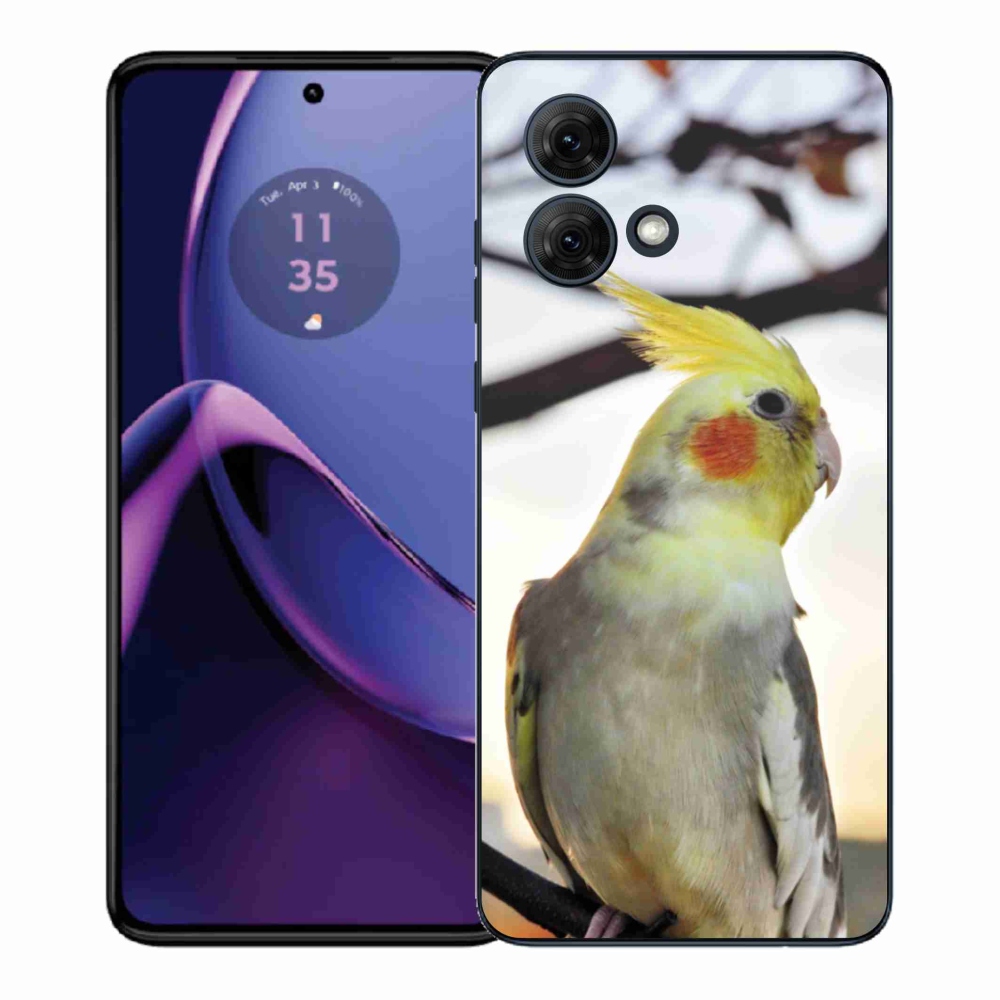 Gélový kryt mmCase na Motorola Moto G84 5G - papagáj korela