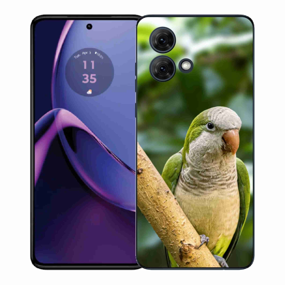 Gélový kryt mmCase na Motorola Moto G84 5G - papagáj mníšok