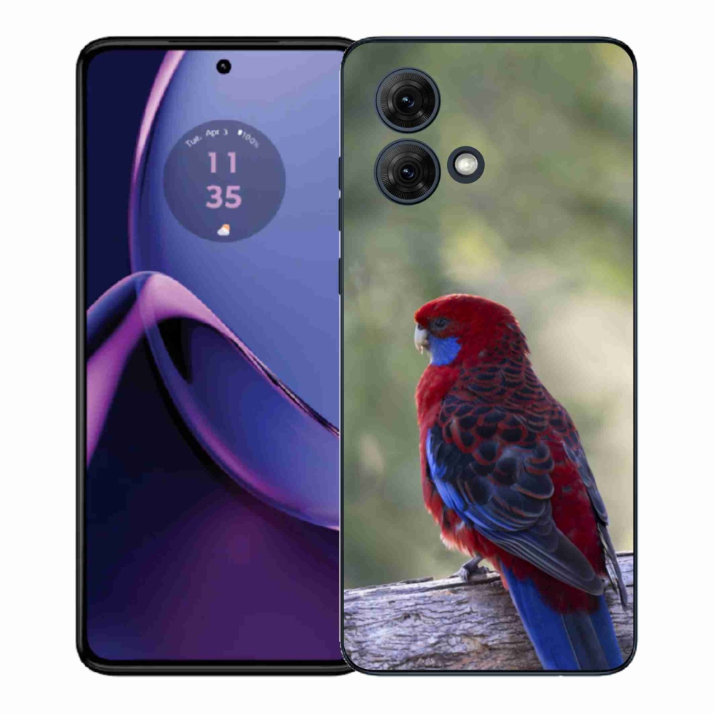 Gélový kryt mmCase na Motorola Moto G84 5G - papagáj rosela