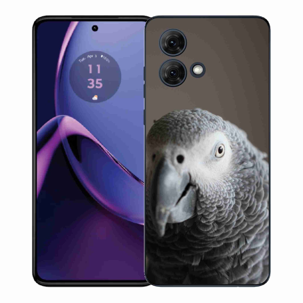 Gélový kryt mmCase na Motorola Moto G84 5G - papagáj žako 2