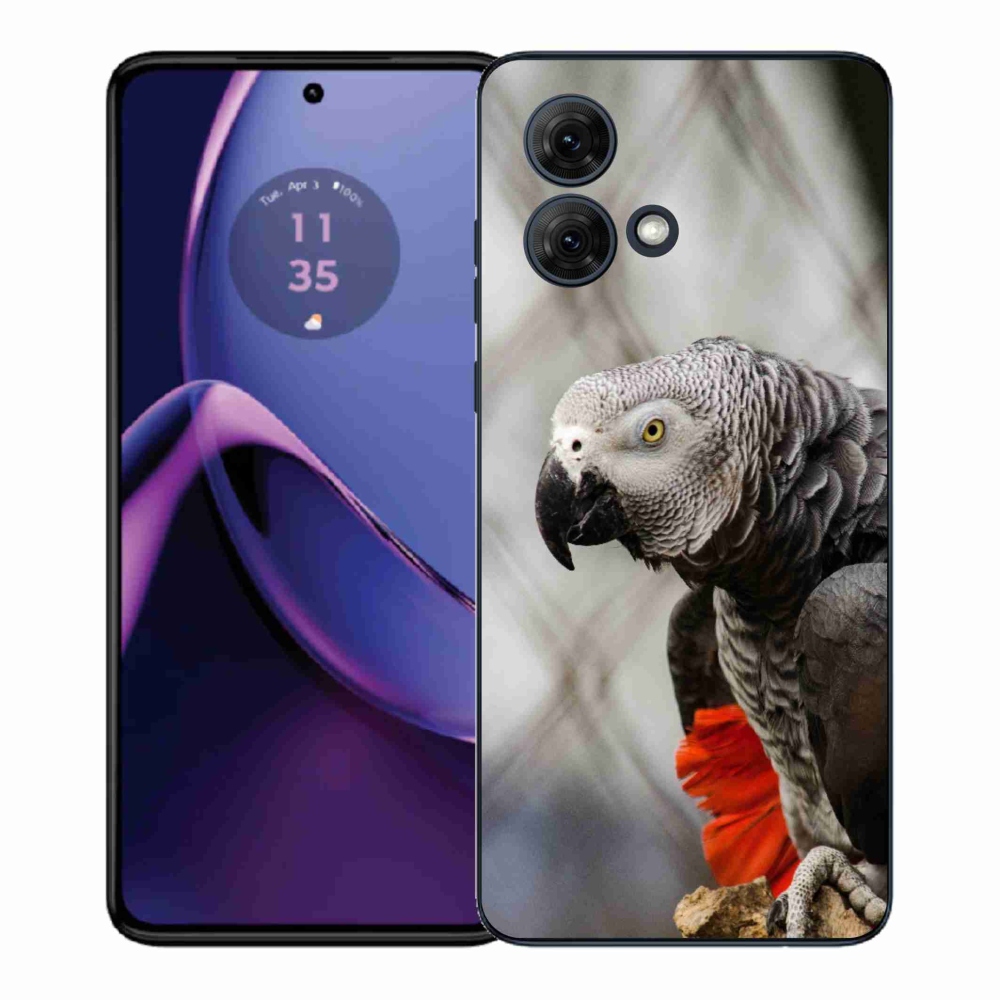 Gélový kryt mmCase na Motorola Moto G84 5G - papagáj žako 3