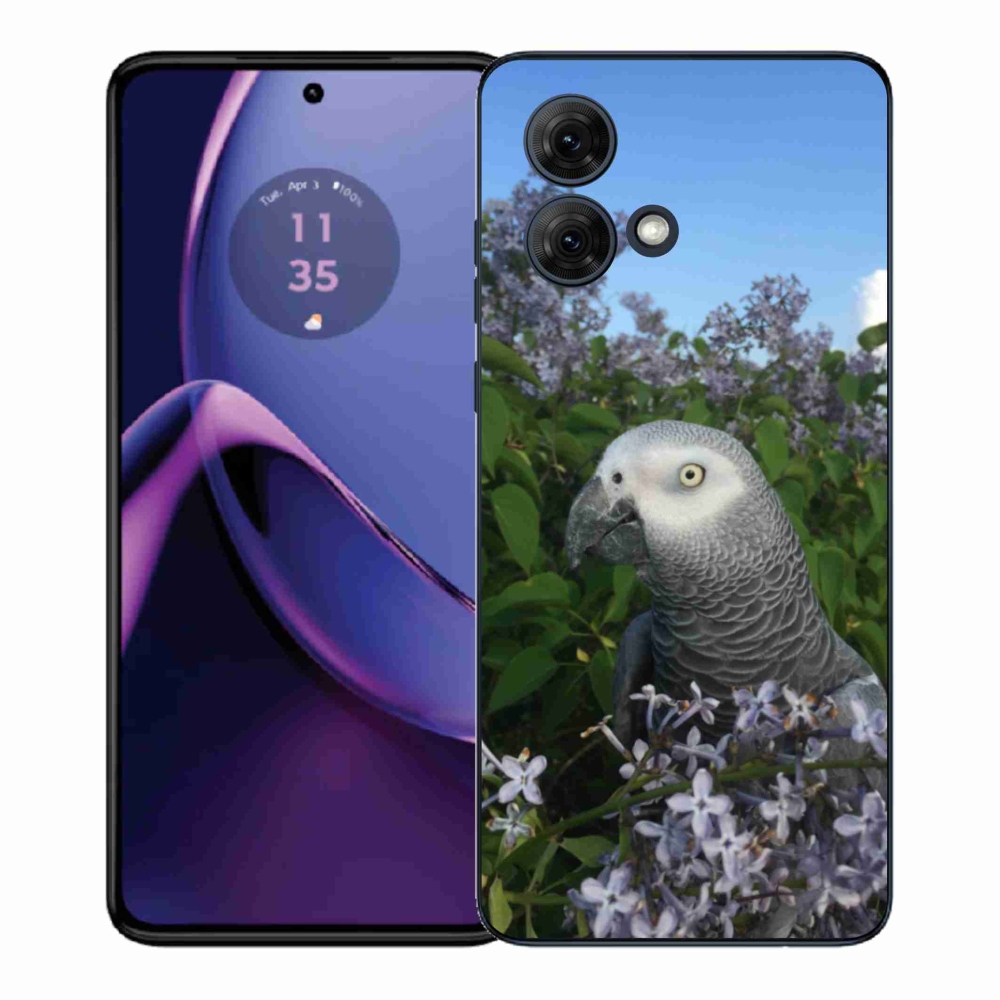 Gélový kryt mmCase na Motorola Moto G84 5G - papagáj žako