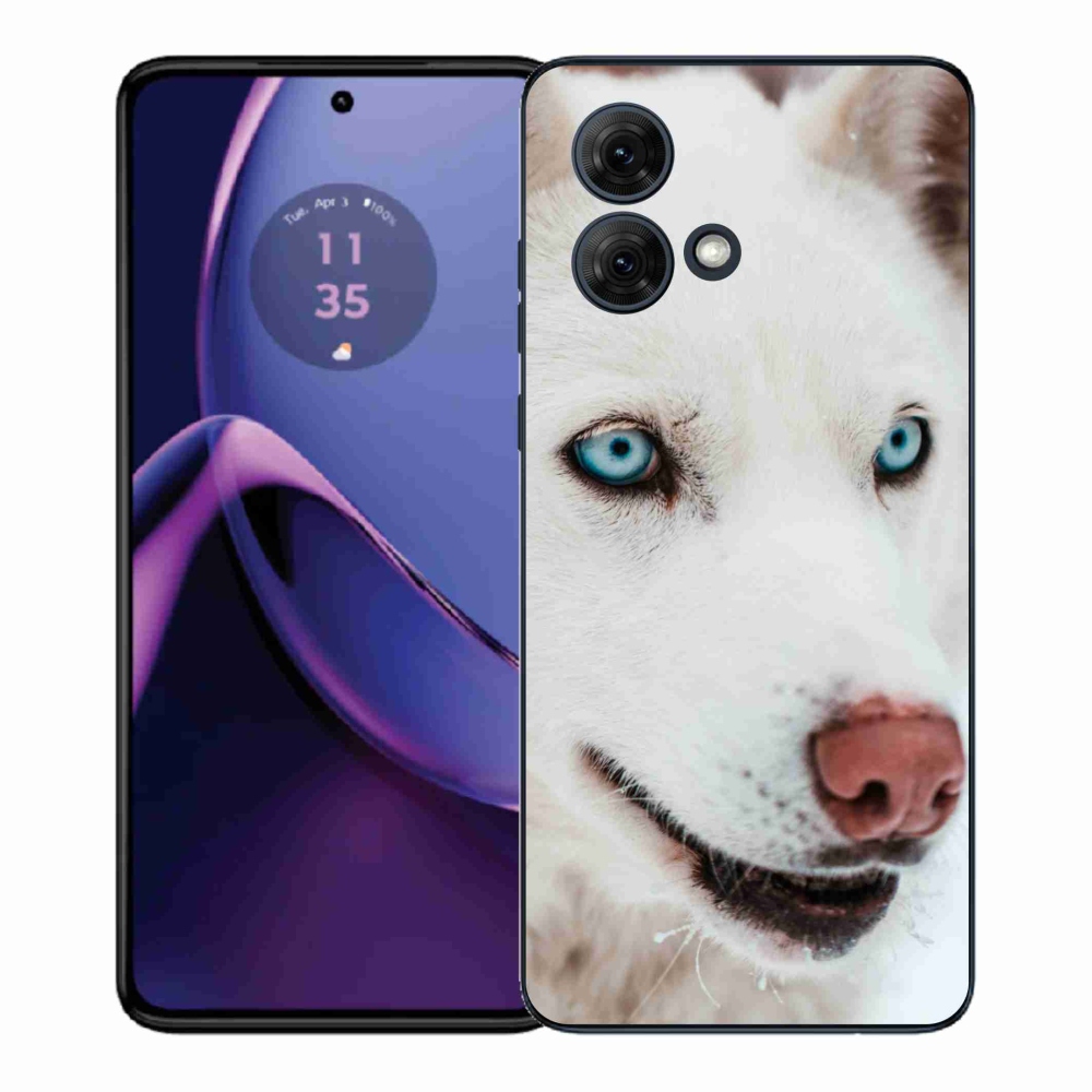 Gélový kryt mmCase na Motorola Moto G84 5G - psí pohľad