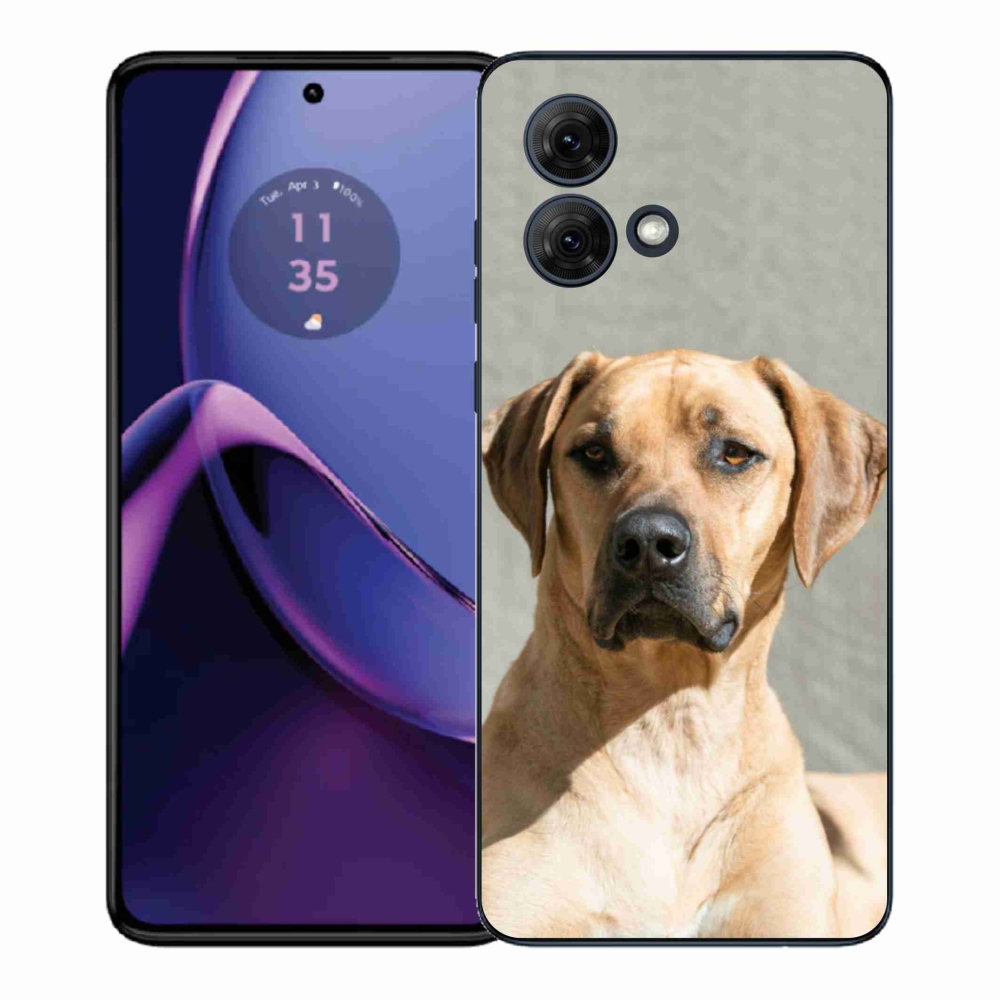 Gélový kryt mmCase na Motorola Moto G84 5G - ridgeback