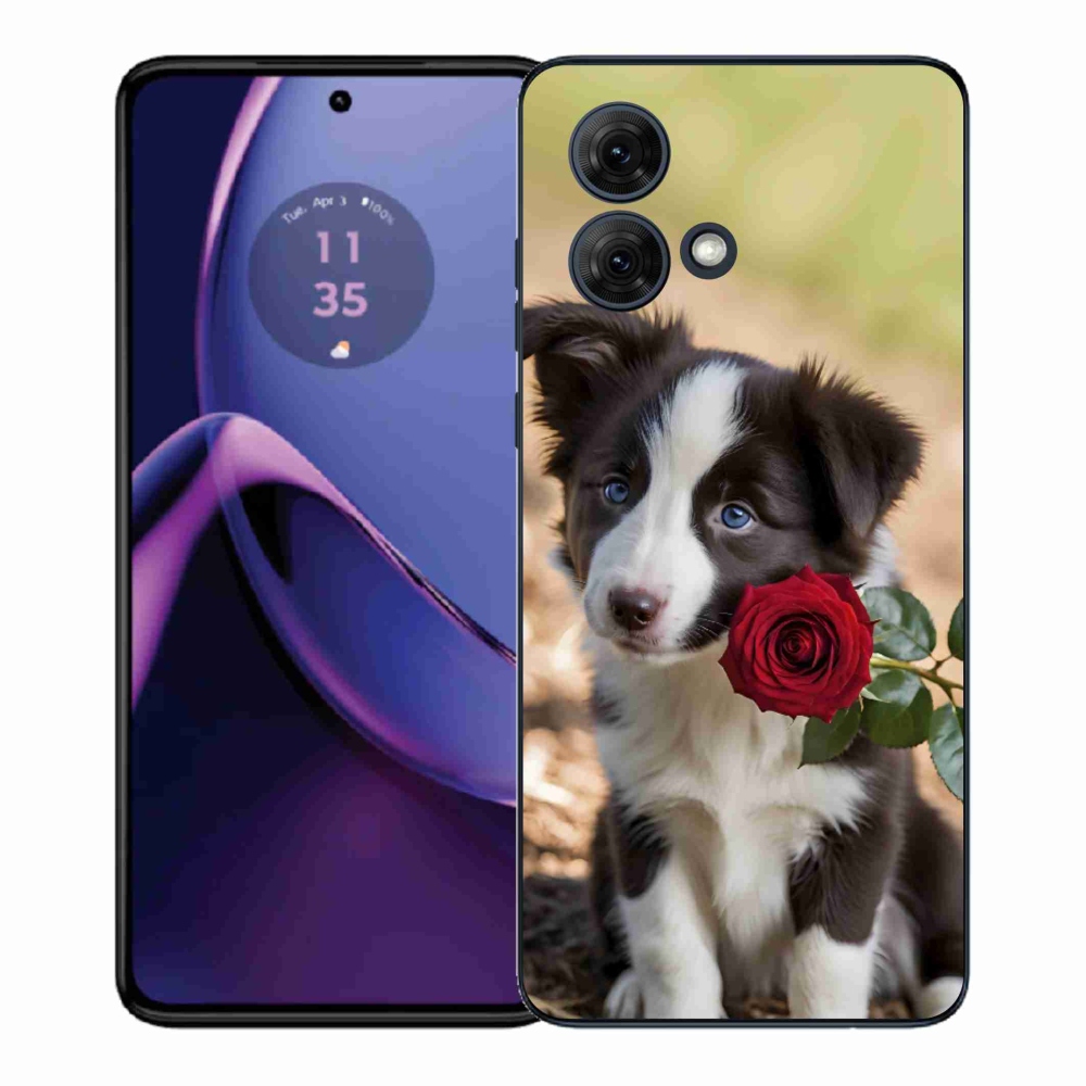 Gélový kryt mmCase na Motorola Moto G84 5G - roztomilá border kólia s ružou