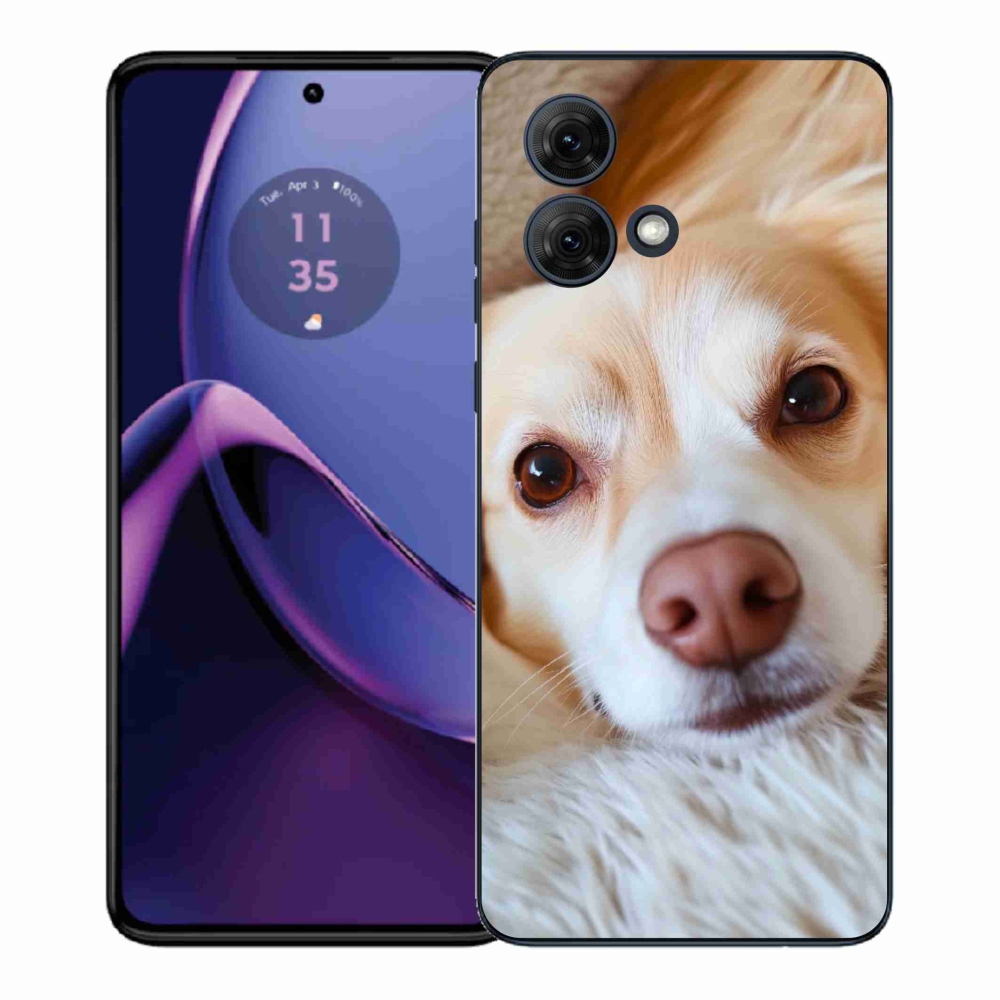 Gélový kryt mmCase na Motorola Moto G84 5G - Roztomilá čivava