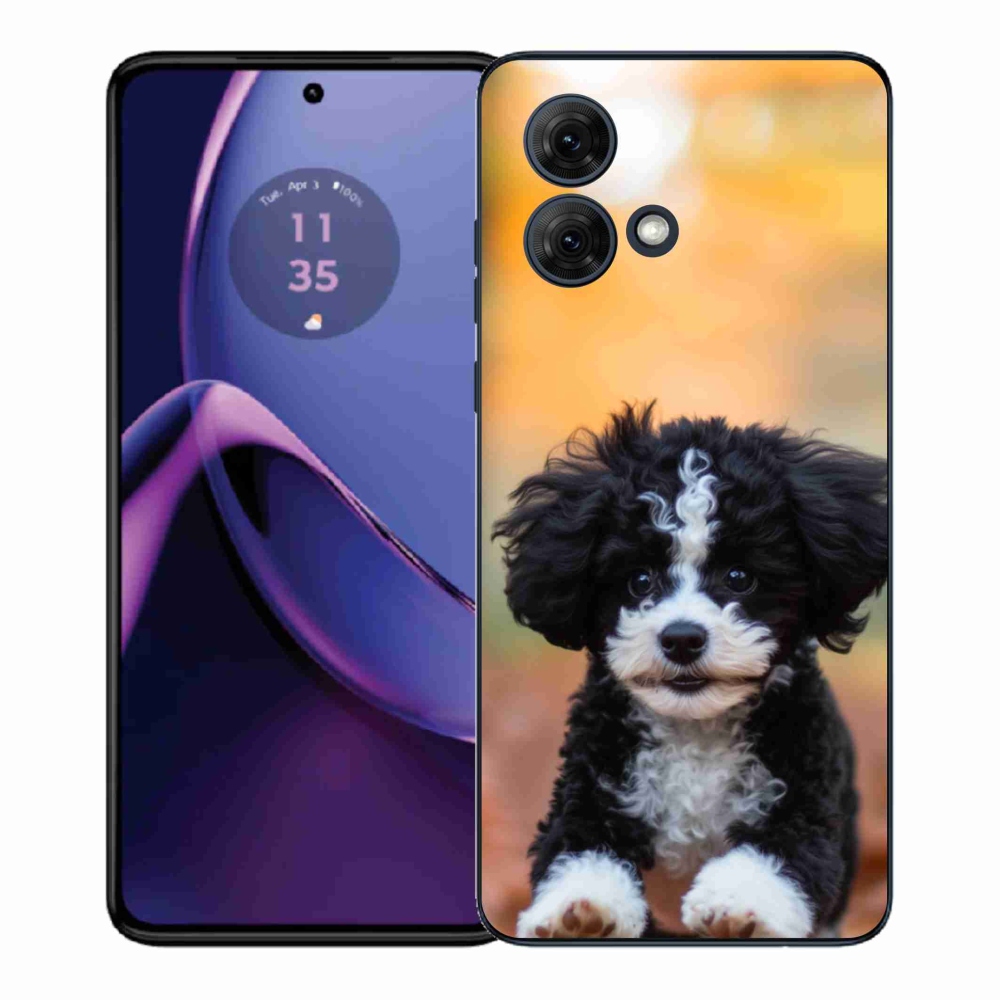 Gélový kryt mmCase na Motorola Moto G84 5G - roztomilé šteňa 2