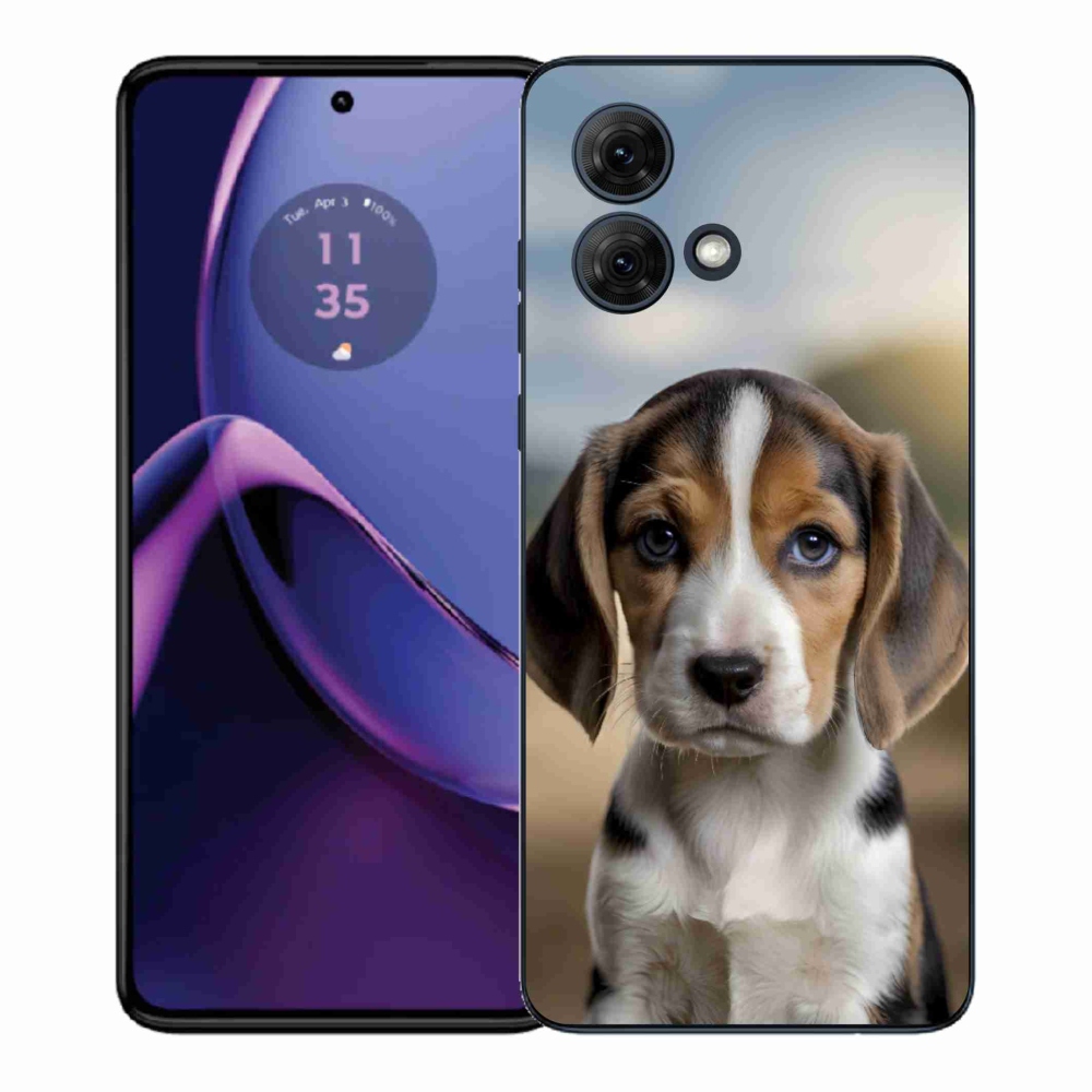 Gélový kryt mmCase na Motorola Moto G84 5G - roztomilý bígl