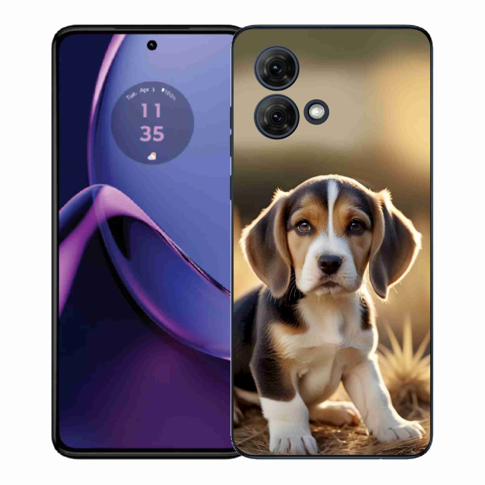 Gélový kryt mmCase na Motorola Moto G84 5G - roztomilý bígl