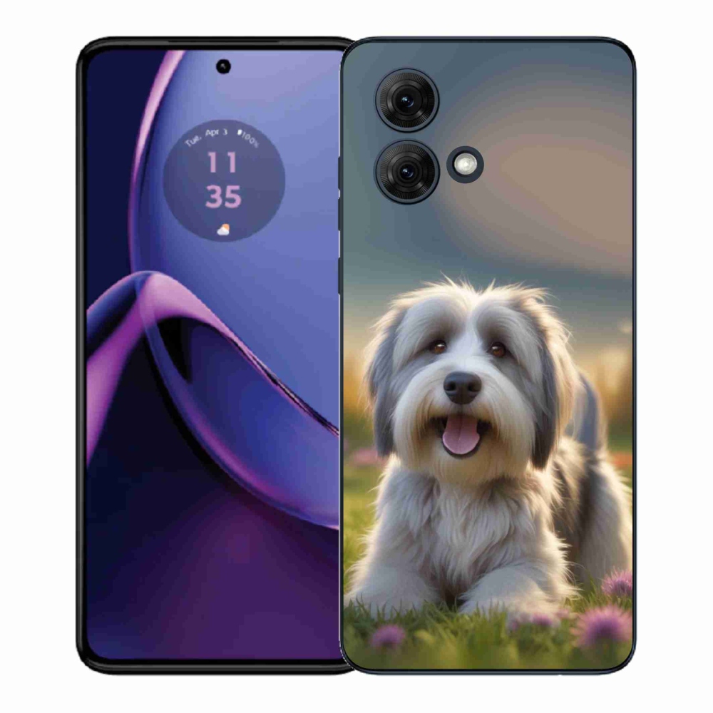 Gélový kryt mmCase na Motorola Moto G84 5G - roztomilý havanský psík