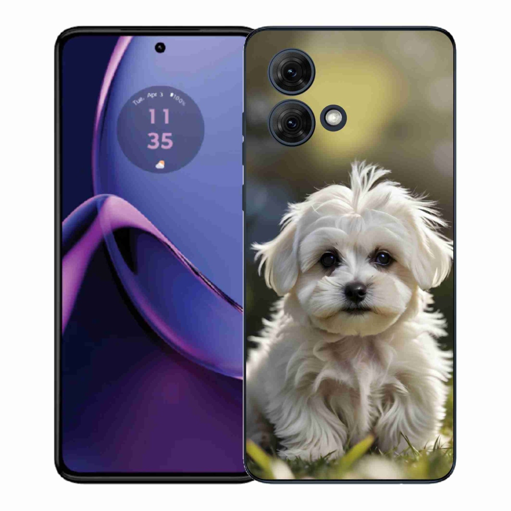 Gélový kryt mmCase na Motorola Moto G84 5G - roztomilý maltézsky psík