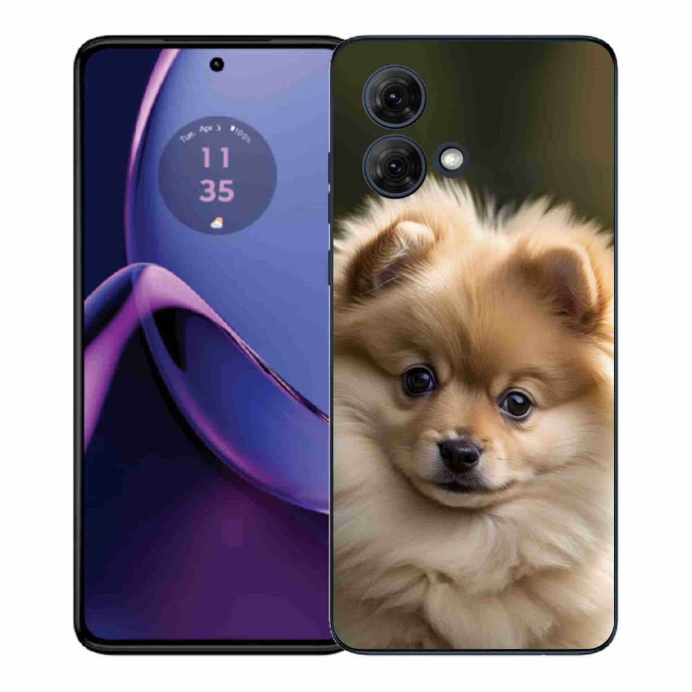 Gélový kryt mmCase na Motorola Moto G84 5G - roztomilý pomeranian 2