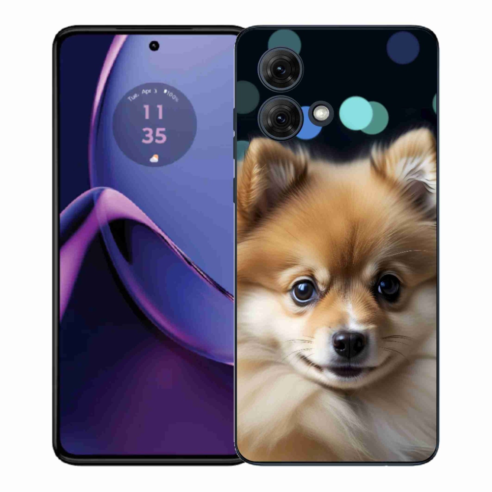 Gélový kryt mmCase na Motorola Moto G84 5G - roztomilý pomeranian