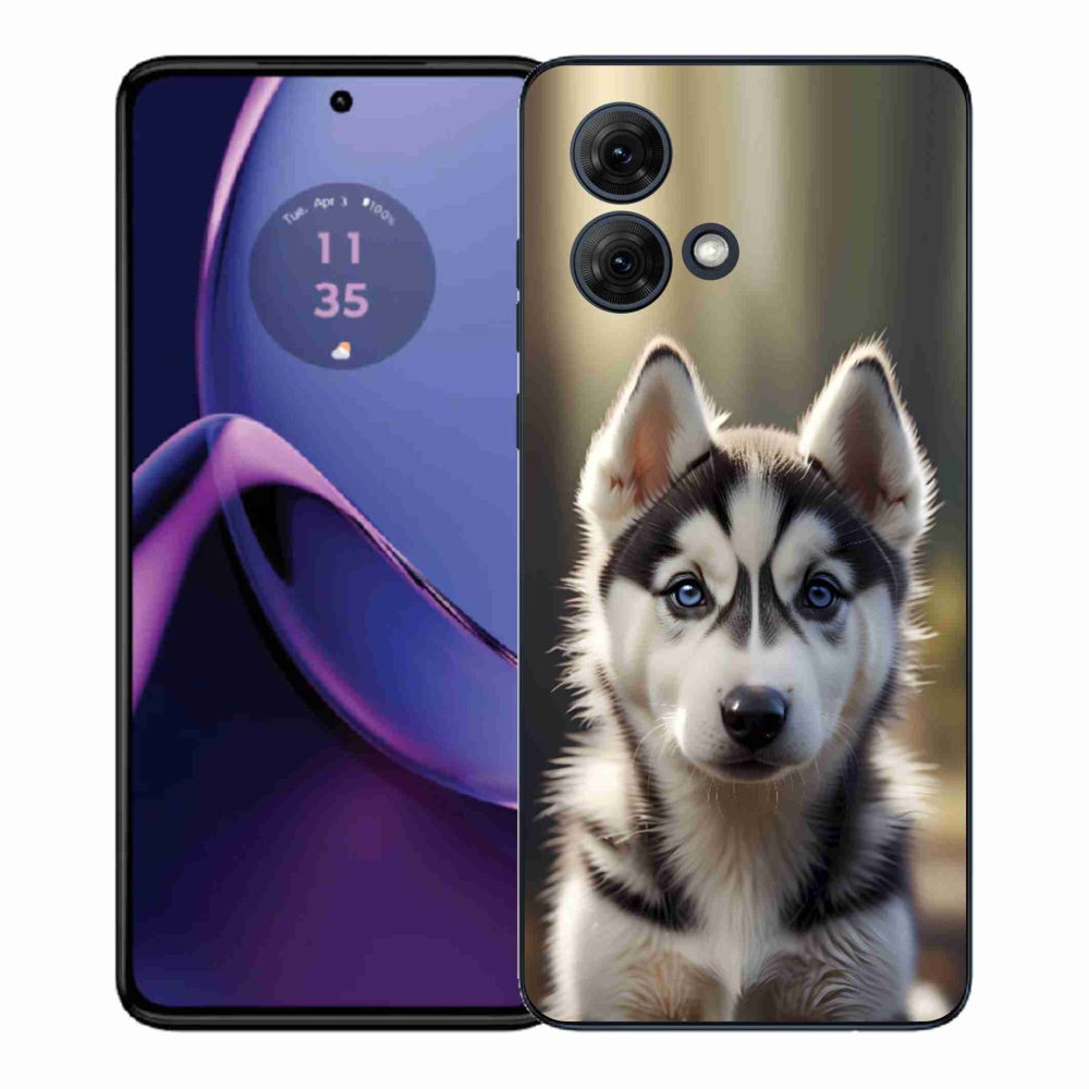 Gélový kryt mmCase na Motorola Moto G84 5G - roztomilý sibírsky husky