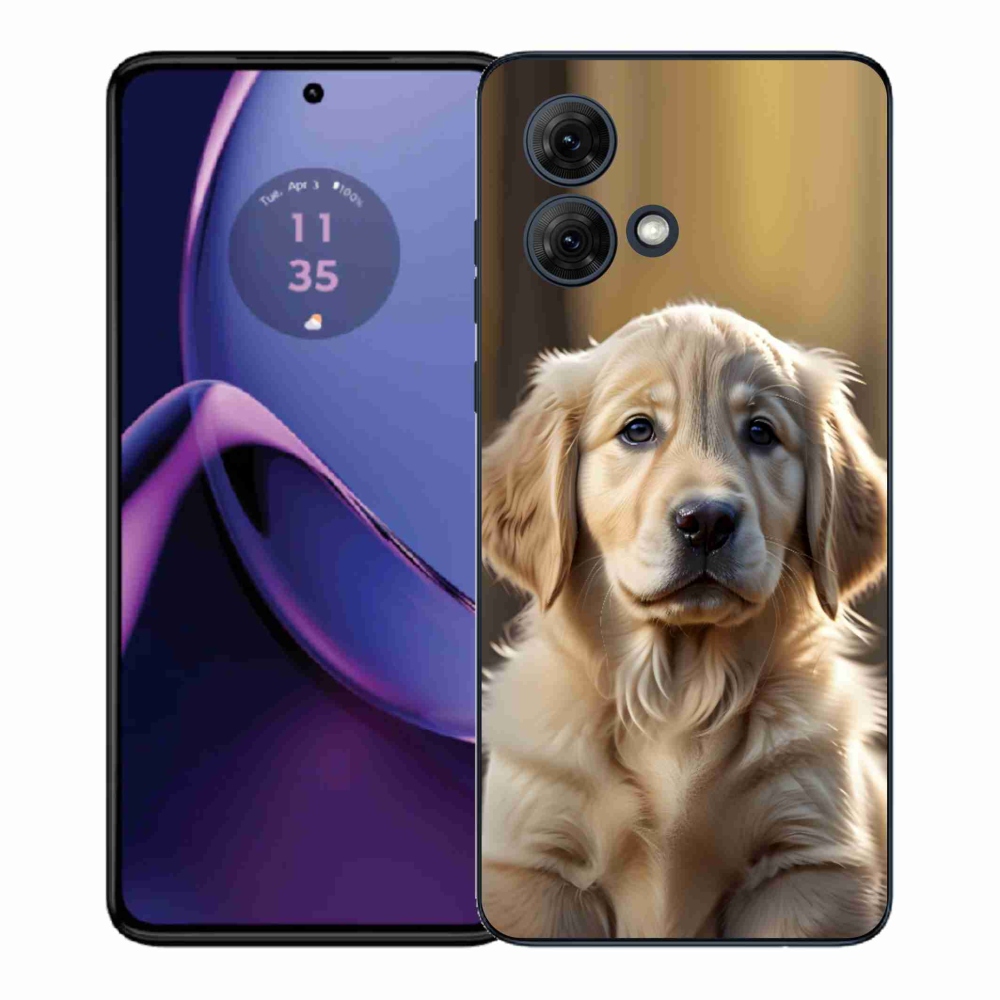 Gélový kryt mmCase na Motorola Moto G84 5G - roztomilý zlatý retriever