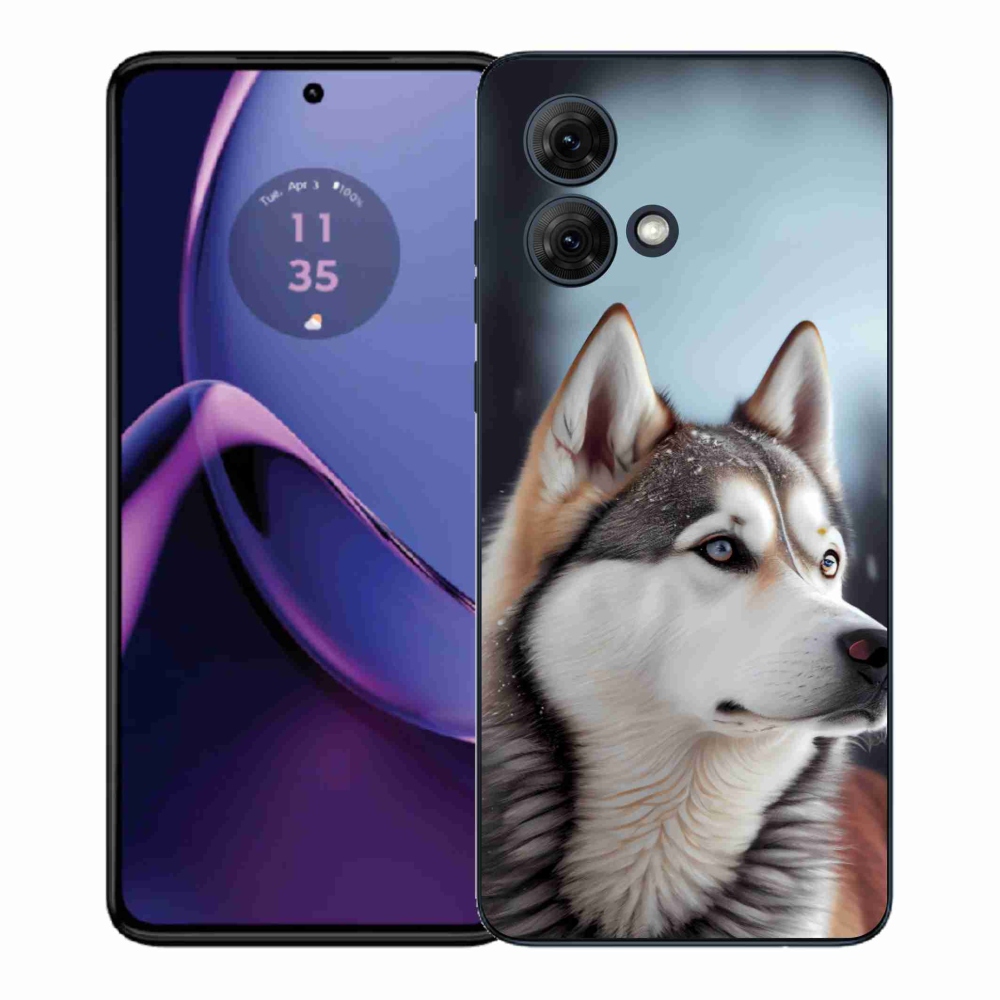 Gélový kryt mmCase na Motorola Moto G84 5G - sibírsky husky