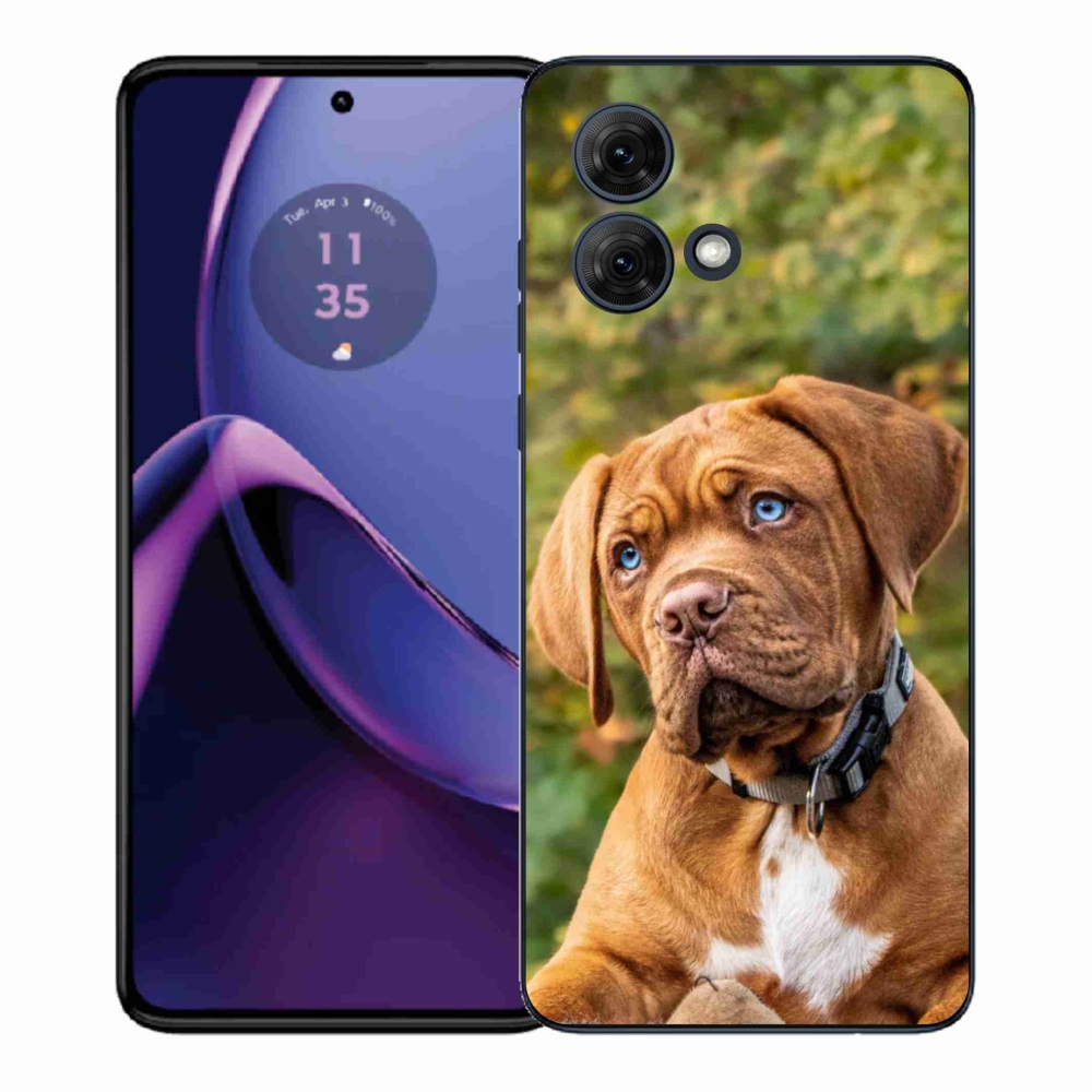 Gélový kryt mmCase na Motorola Moto G84 5G - šteňa