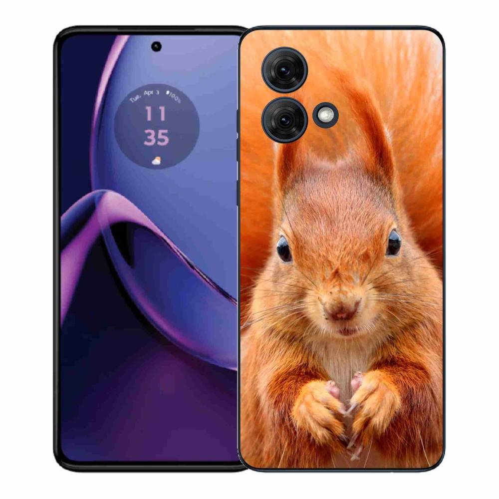 Gélový kryt mmCase na Motorola Moto G84 5G - veverička