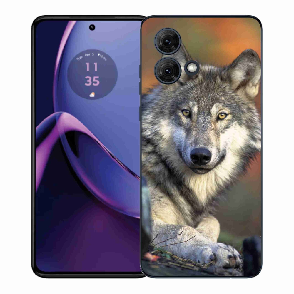 Gélový kryt mmCase na Motorola Moto G84 5G - vlk