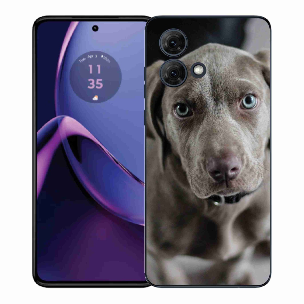 Gélový kryt mmCase na Motorola Moto G84 5G - weimarský stavač