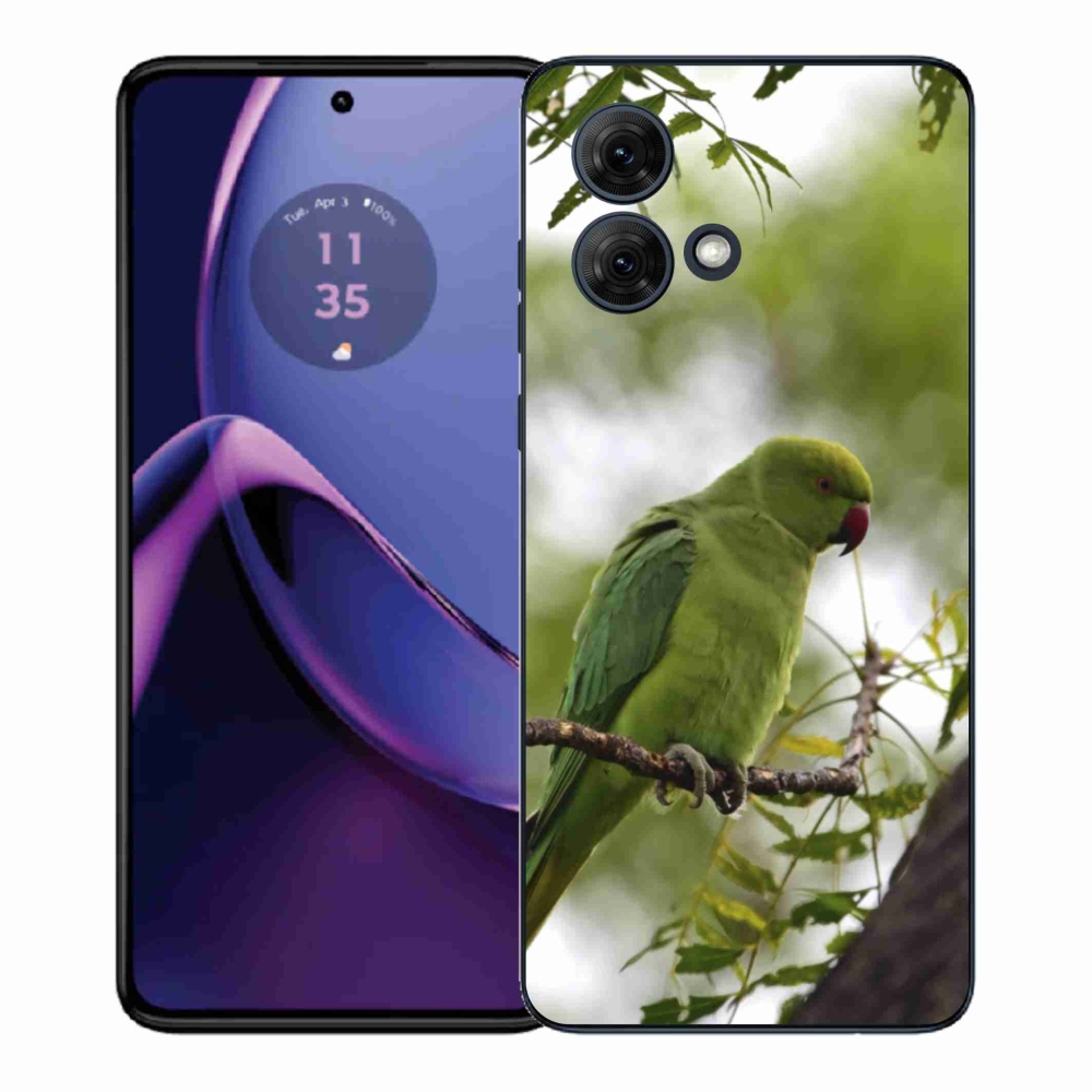 Gélový kryt mmCase na Motorola Moto G84 5G - zelený papagáj
