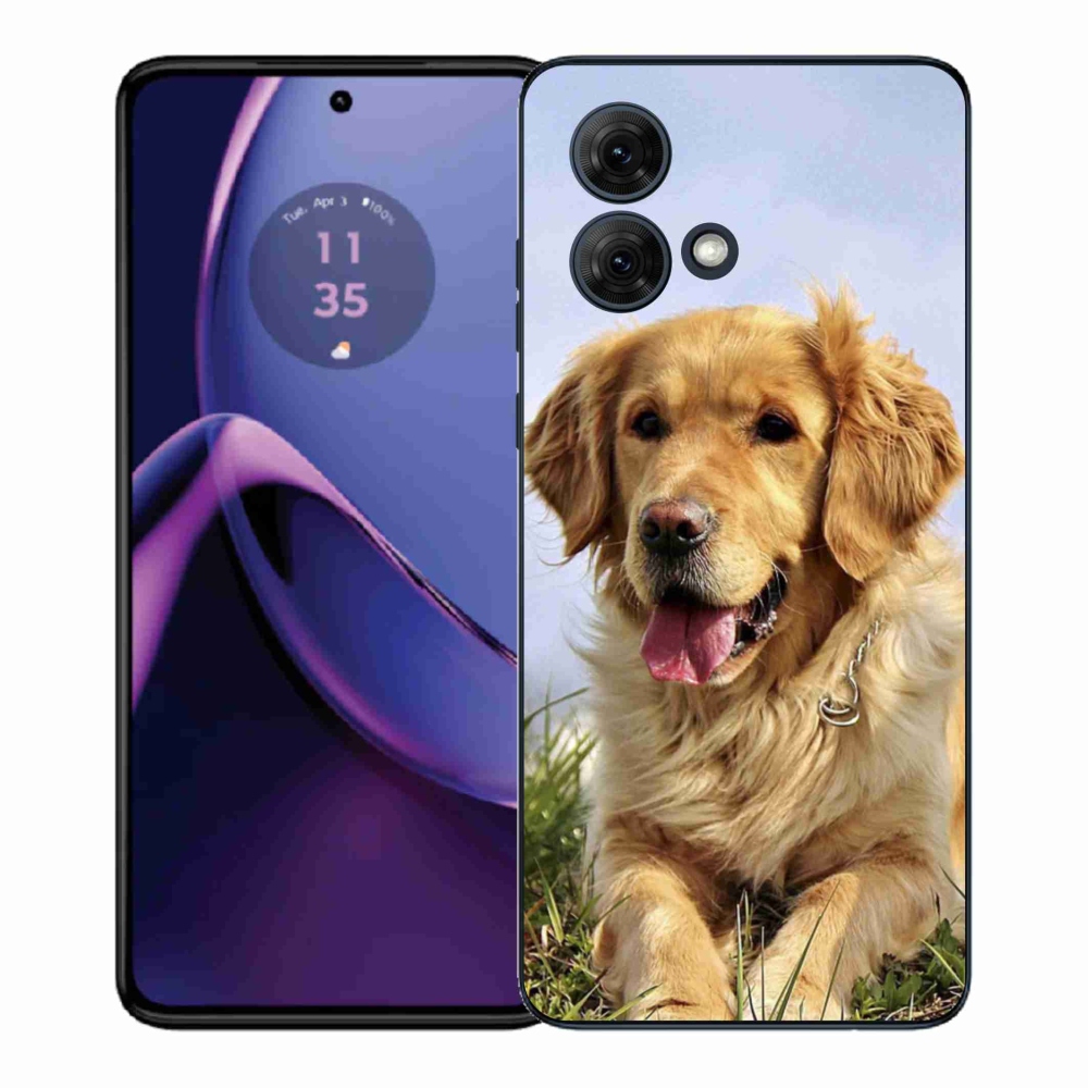 Gélový kryt mmCase na Motorola Moto G84 5G - zlatý retriever