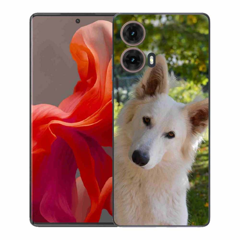 Gélový kryt mmCase na Motorola Moto G85 5G - biely švajčiarsky ovčiak 1