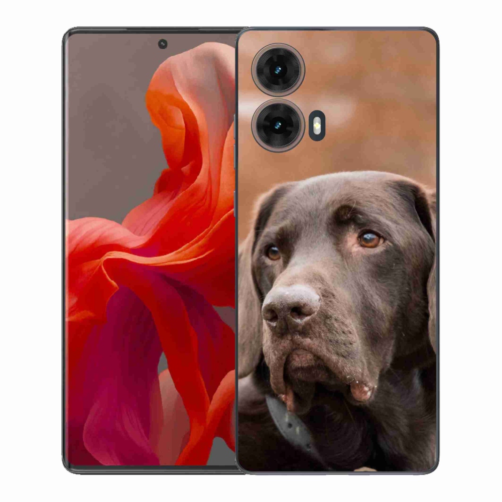 Gélový kryt mmCase na Motorola Moto G85 5G - hnedý labrador