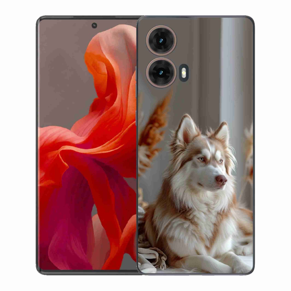 Gélový kryt mmCase na Motorola Moto G85 5G - pokojný sibírsky husky