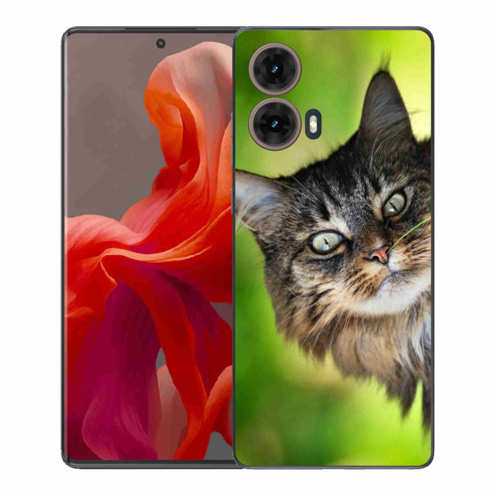 Gélový kryt mmCase na Motorola Moto G85 5G - mačka 3