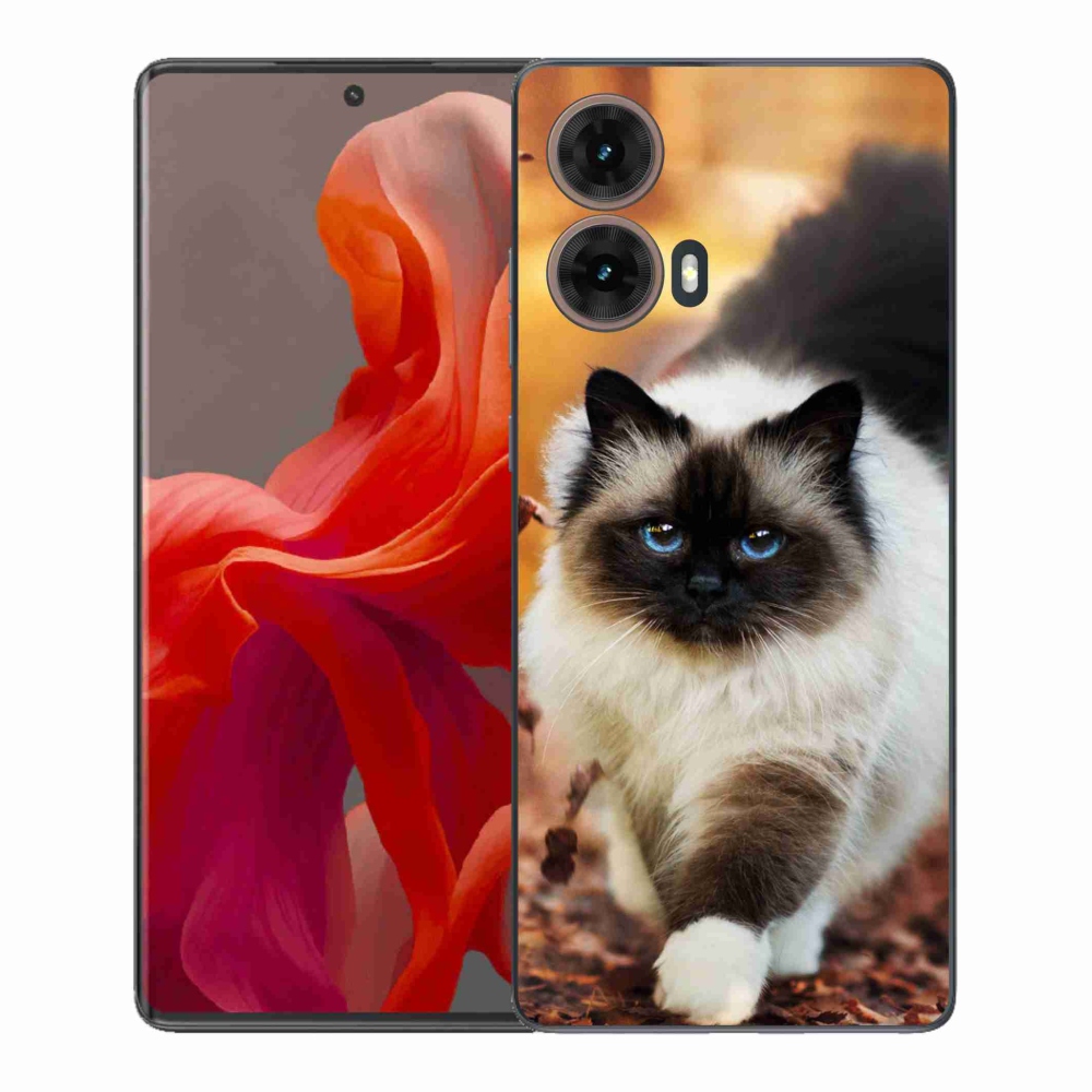 Gélový kryt mmCase na Motorola Moto G85 5G - mačka