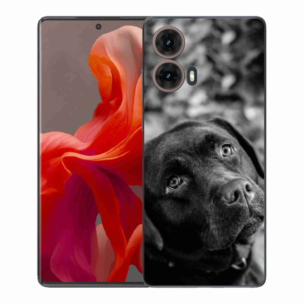 Gélový kryt mmCase na Motorola Moto G85 5G - labrador