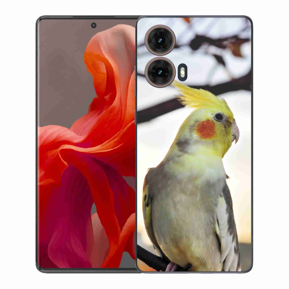 Gélový kryt mmCase na Motorola Moto G85 5G - papagáj korela