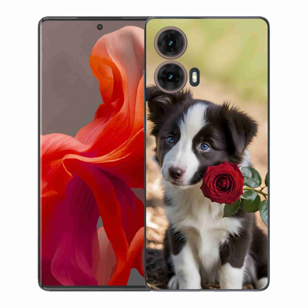 Gélový kryt mmCase na Motorola Moto G85 5G - roztomilá border kólia s ružou