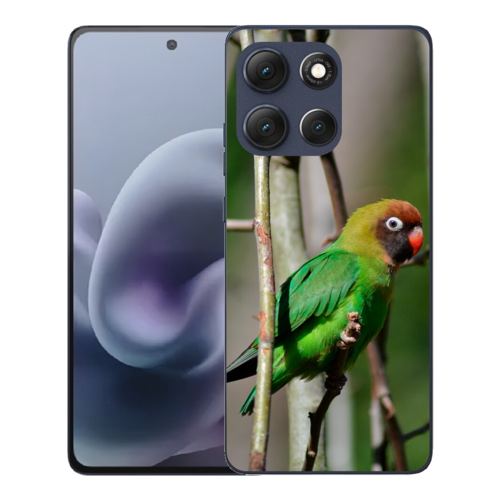 Gélový obal mmCase pre Motorola Moto G86 5G – papagáj agapornis