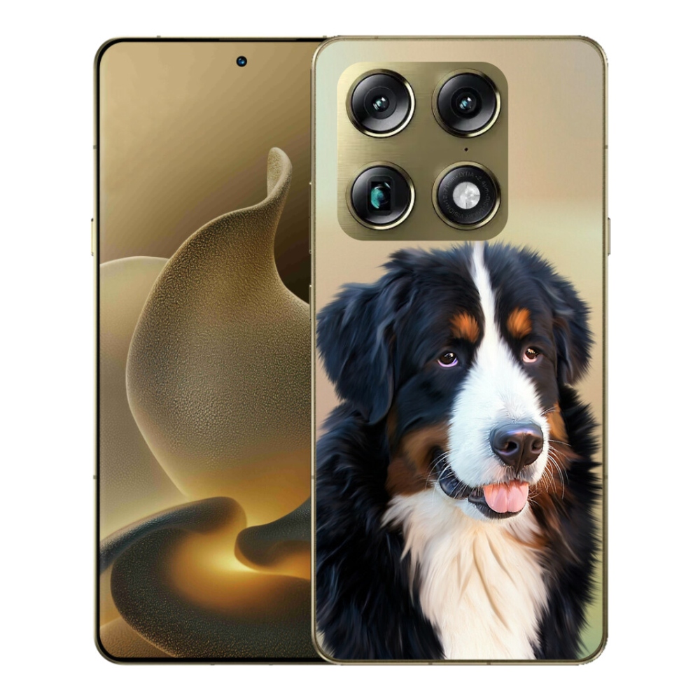 Gélový kryt mmCase na Motorola Signature - bernský salašnícky pes