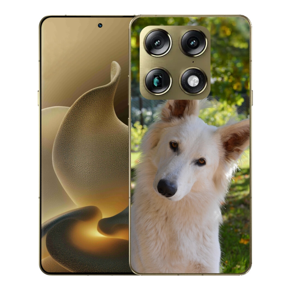 Gélový kryt mmCase na Motorola Signature - biely švajčiarsky ovčiak 1